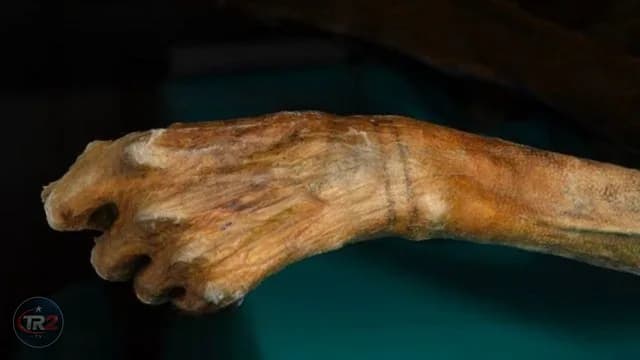 Mumyalar ve Viking geçitleri: Buzlar eriyince ortaya çıkan sırlar