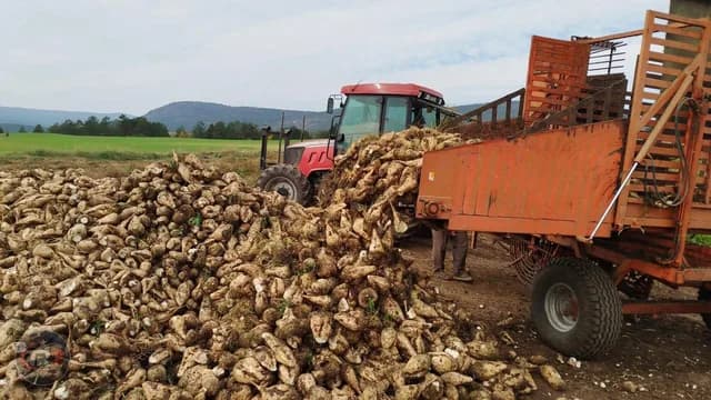5'inci avans ödemeleri pancar çiftçilerinin hesaplarına yatırıldı