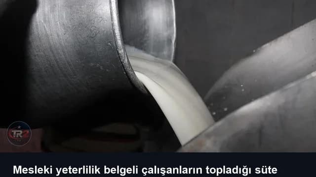 Mesleki yeterlilik belgeli çalışanların topladığı süte ilave destek