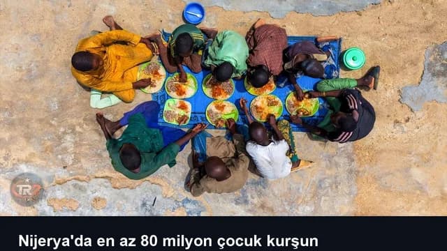 Nijerya'da en az 80 milyon çocuk kurşun zehirlenmesi riski altında