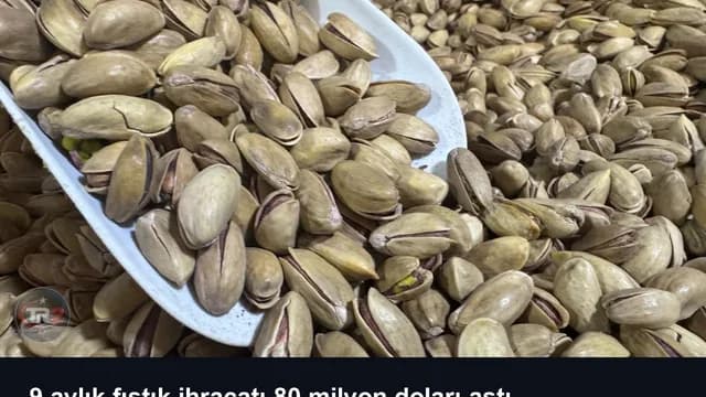 9 aylık fıstık ihracatı 80 milyon doları aştı