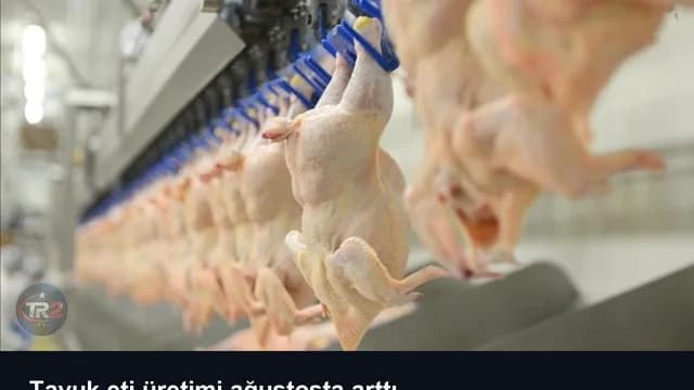 Tavuk eti üretimi ağustosta arttı
