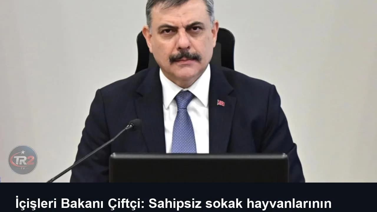 İçişleri Bakanı Çiftçi: Sahipsiz sokak hayvanlarının tamamını topladık