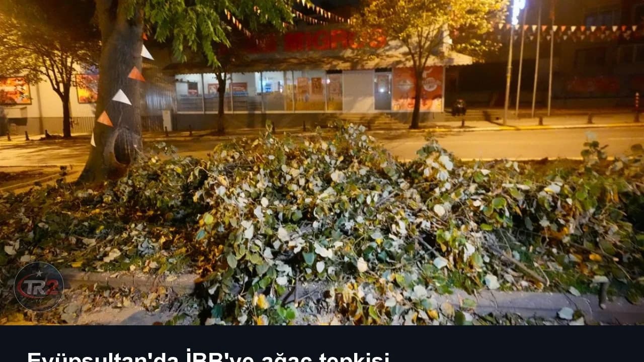 Eyüpsultan'da İBB'ye ağaç tepkisi