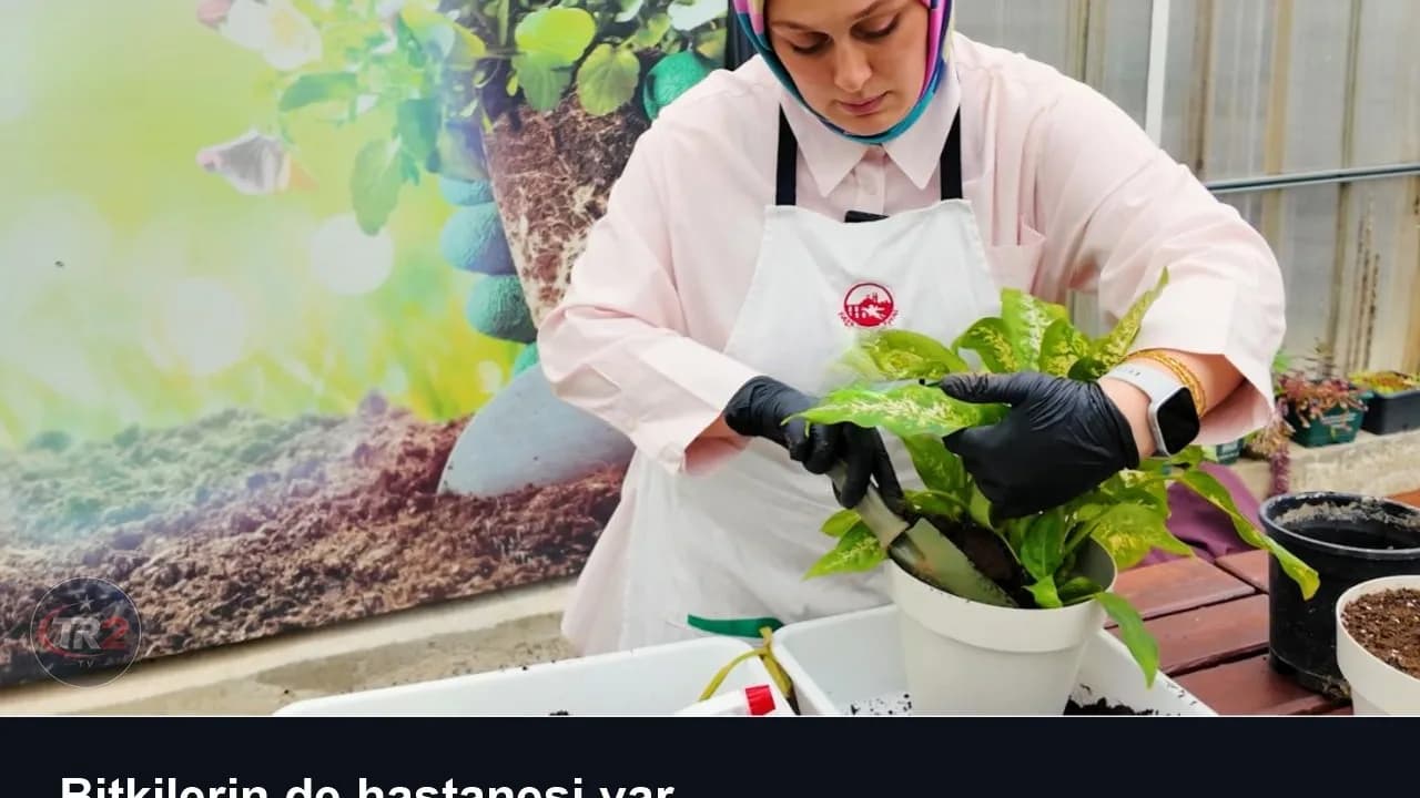 Bitkilerin de hastanesi var