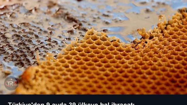 Türkiye'den 9 ayda 39 ülkeye bal ihracatı