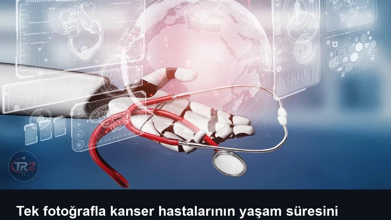 Tek fotoğrafla kanser hastalarının yaşam süresini tahmin eden yapay zeka geliştirildi