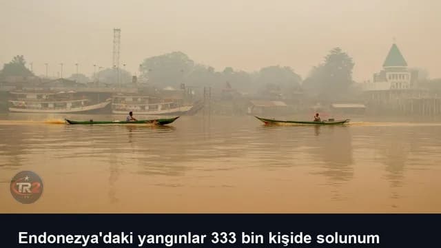 Endonezya'daki yangınlar 333 bin kişide solunum yolu enfeksiyonuna yol açtı