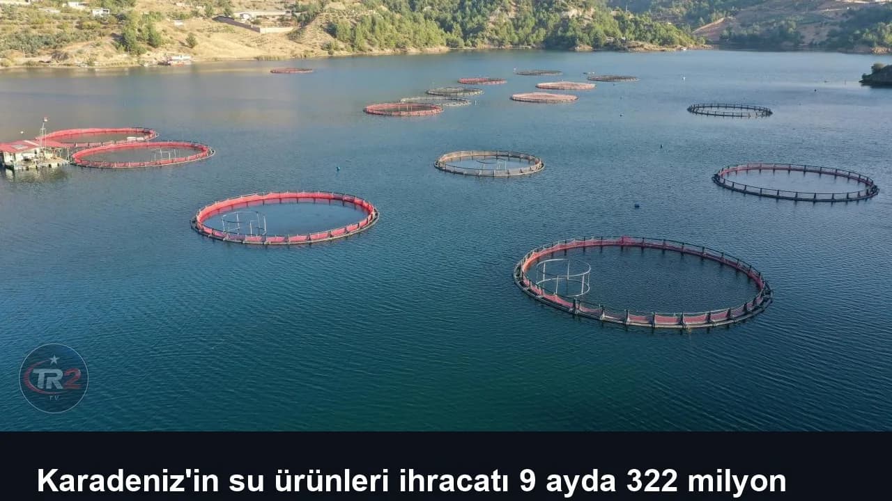 Karadeniz'in su ürünleri ihracatı 9 ayda 322 milyon doları aştı