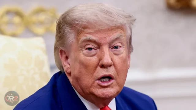 Trump, seçimlere hile karıştıranları ihbar edenlere 1 milyon dolar ödeneceğini duyurdu