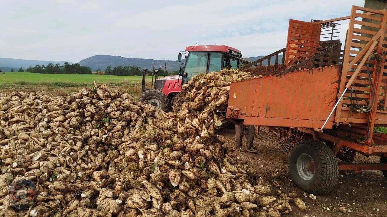 5'inci avans ödemeleri pancar çiftçilerinin hesaplarına yatırıldı