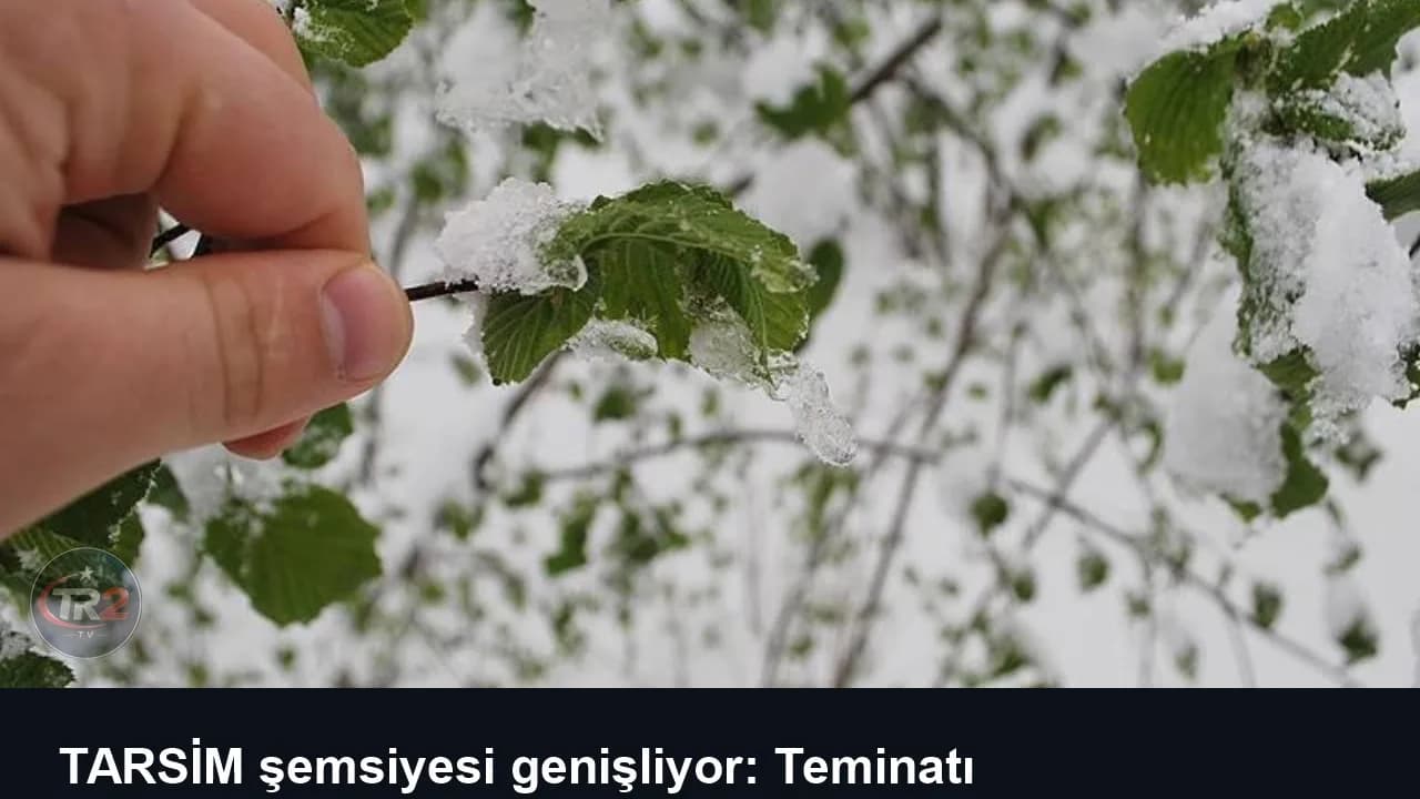 TARSİM şemsiyesi genişliyor: Teminatı kapsamındaki ürün sayısı 25'e çıkarıldı