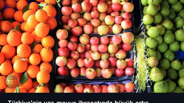 Türkiye'nin yaş meyve ihracatında büyük artış