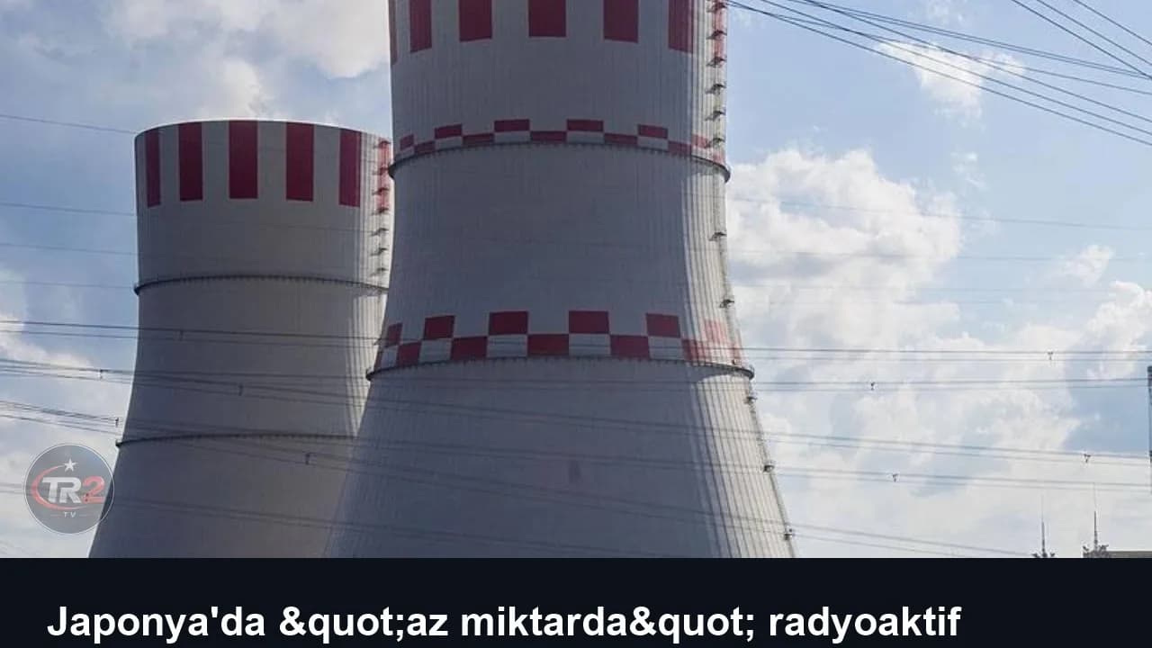 Japonya'da "az miktarda" radyoaktif sızıntı nedeniyle bir nükleer reaktör durdurulacak
