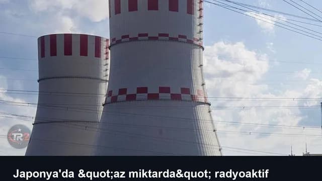 Japonya'da "az miktarda" radyoaktif sızıntı nedeniyle bir nükleer reaktör durdurulacak