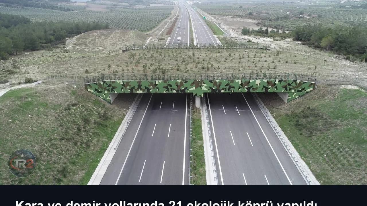 Kara ve demir yollarında 21 ekolojik köprü yapıldı