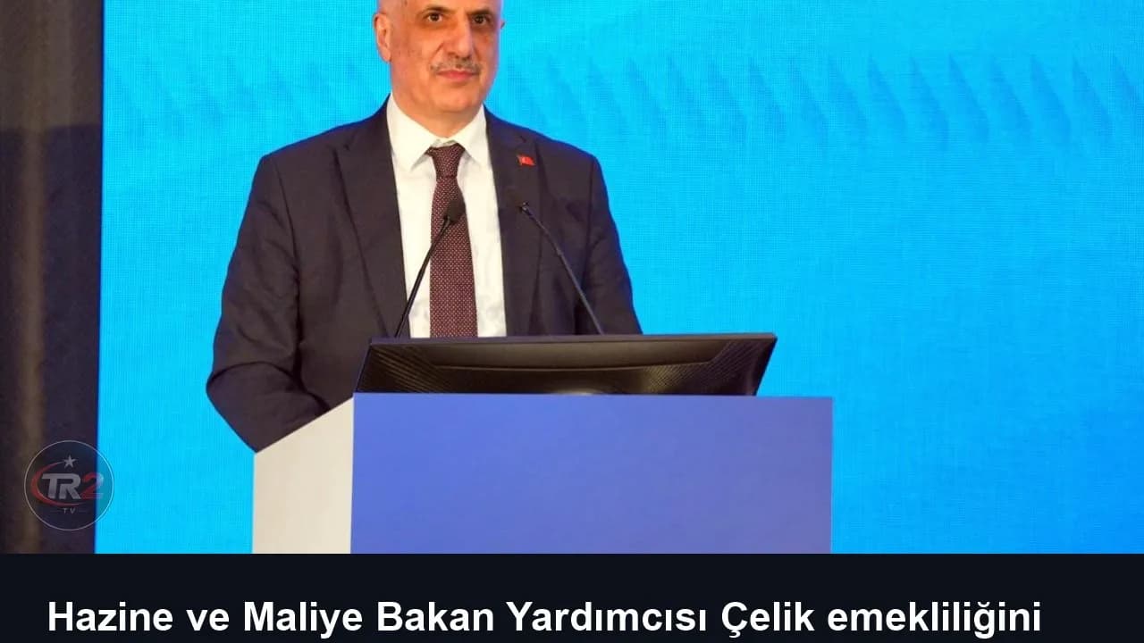 Hazine ve Maliye Bakan Yardımcısı Çelik emekliliğini sundu