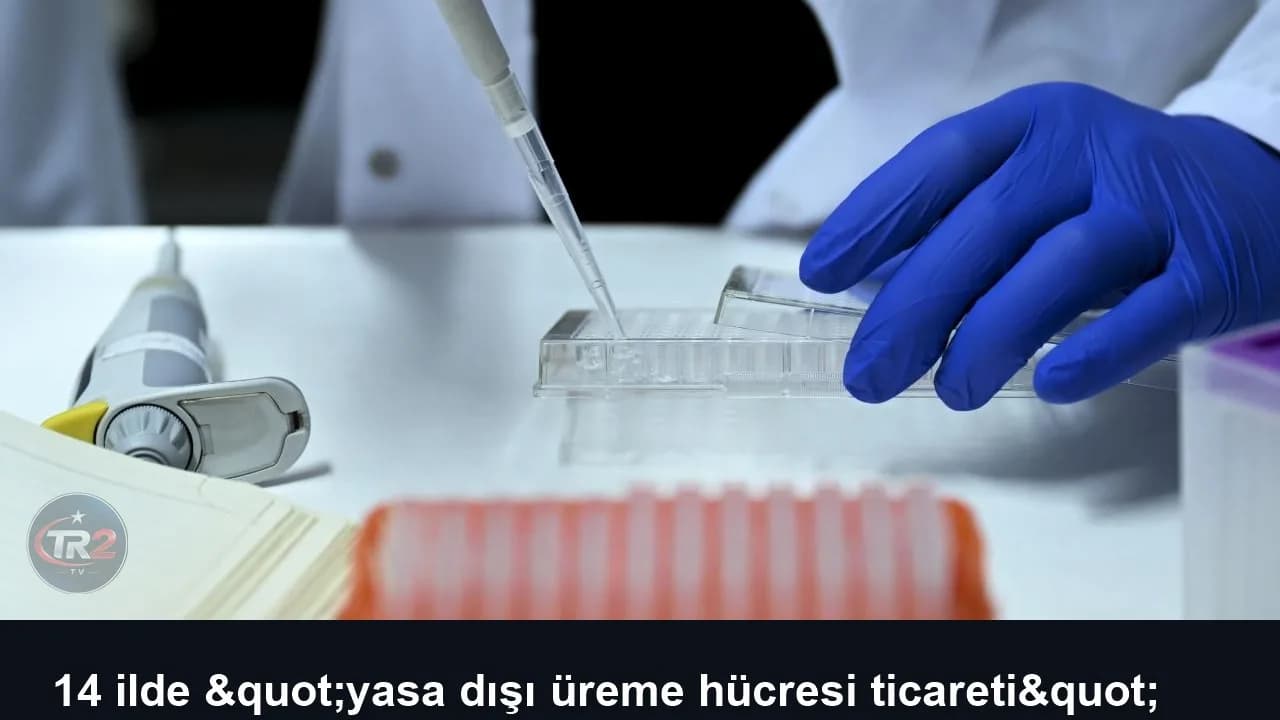 14 ilde "yasa dışı üreme hücresi ticareti" operasyonu: 36 gözaltı