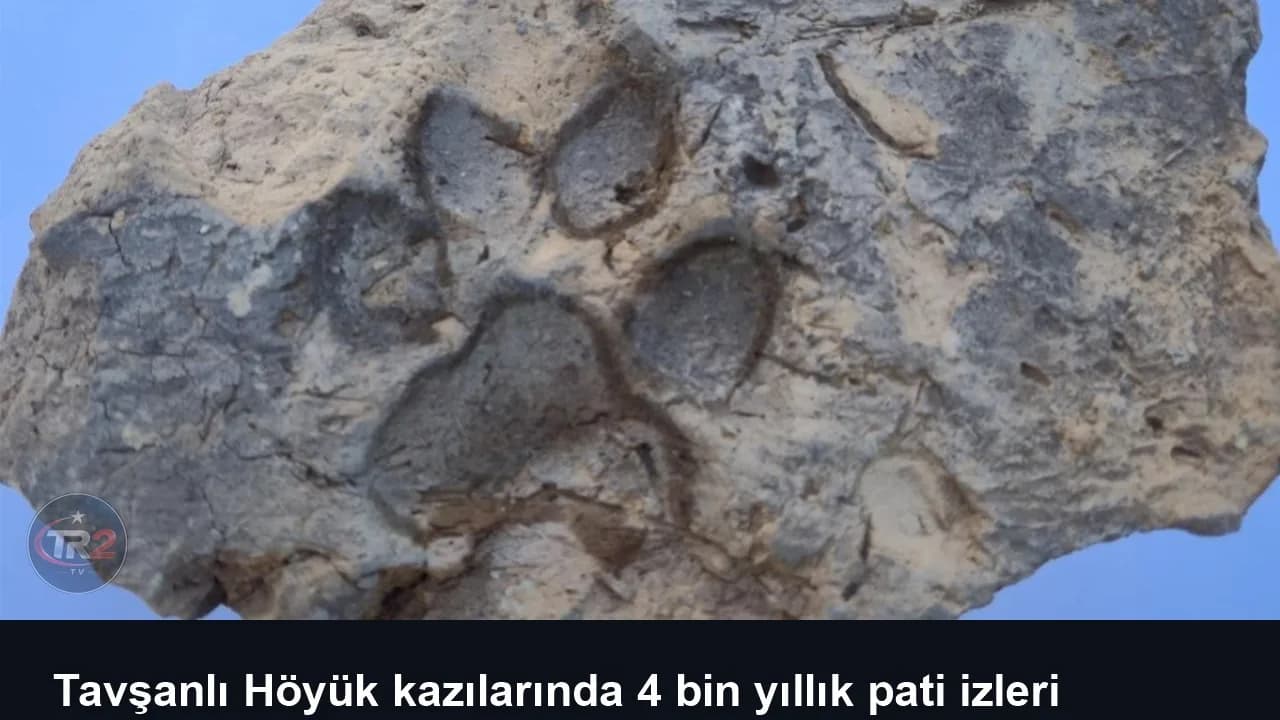 Tavşanlı Höyük kazılarında 4 bin yıllık pati izleri bulundu