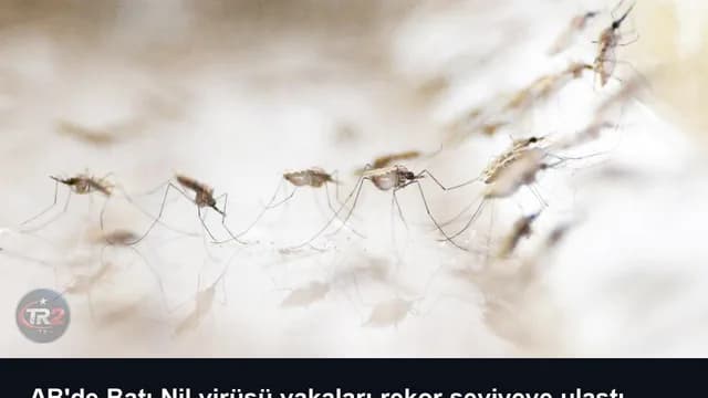 AB'de Batı Nil virüsü vakaları rekor seviyeye ulaştı