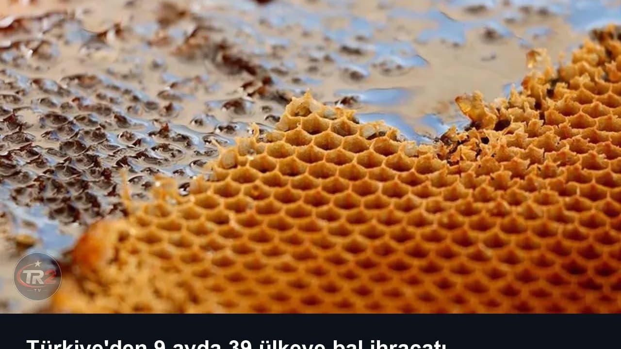Türkiye'den 9 ayda 39 ülkeye bal ihracatı