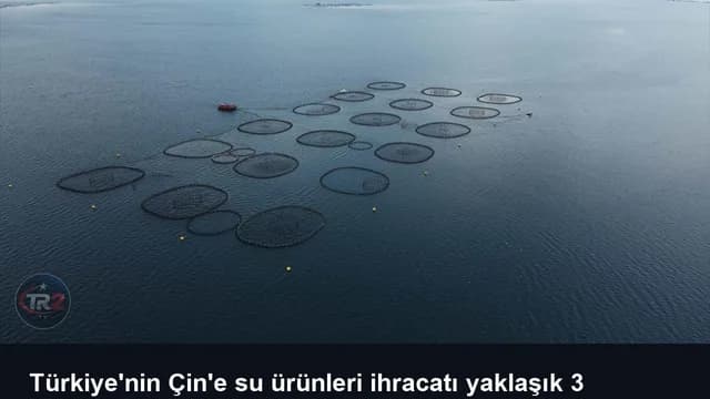Türkiye'nin Çin'e su ürünleri ihracatı yaklaşık 3 katına çıktı