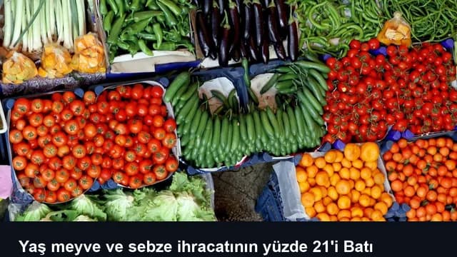 Yaş meyve ve sebze ihracatının yüzde 21'i Batı Akdeniz'den
