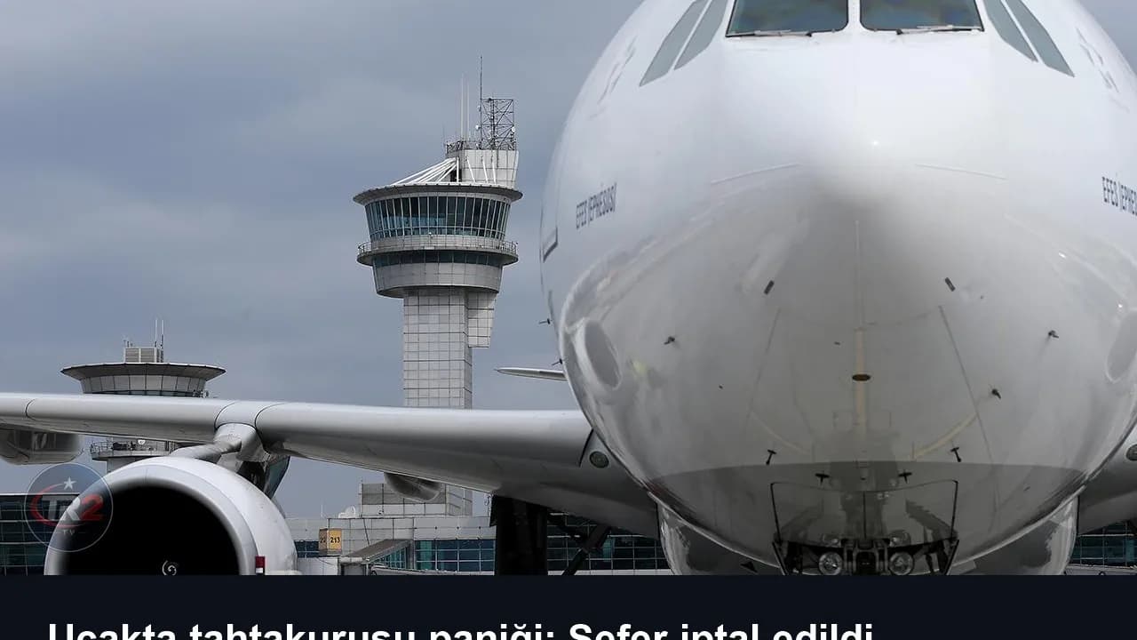Uçakta tahtakurusu paniği: Sefer iptal edildi
