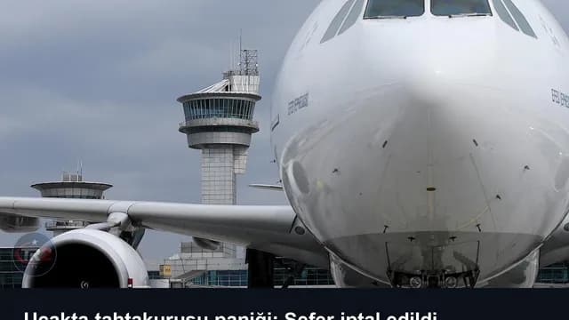Uçakta tahtakurusu paniği: Sefer iptal edildi