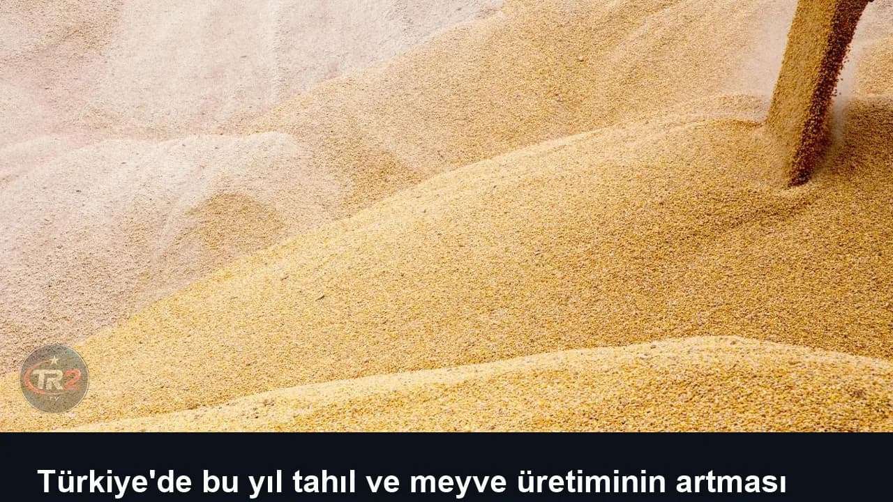 Türkiye'de bu yıl tahıl ve meyve üretiminin artması bekleniyor