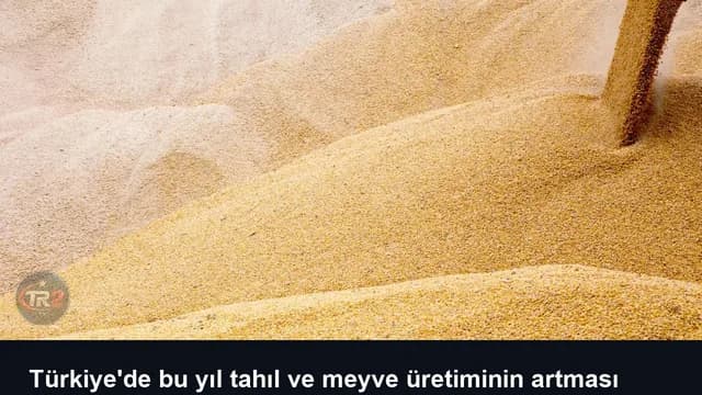 Türkiye'de bu yıl tahıl ve meyve üretiminin artması bekleniyor