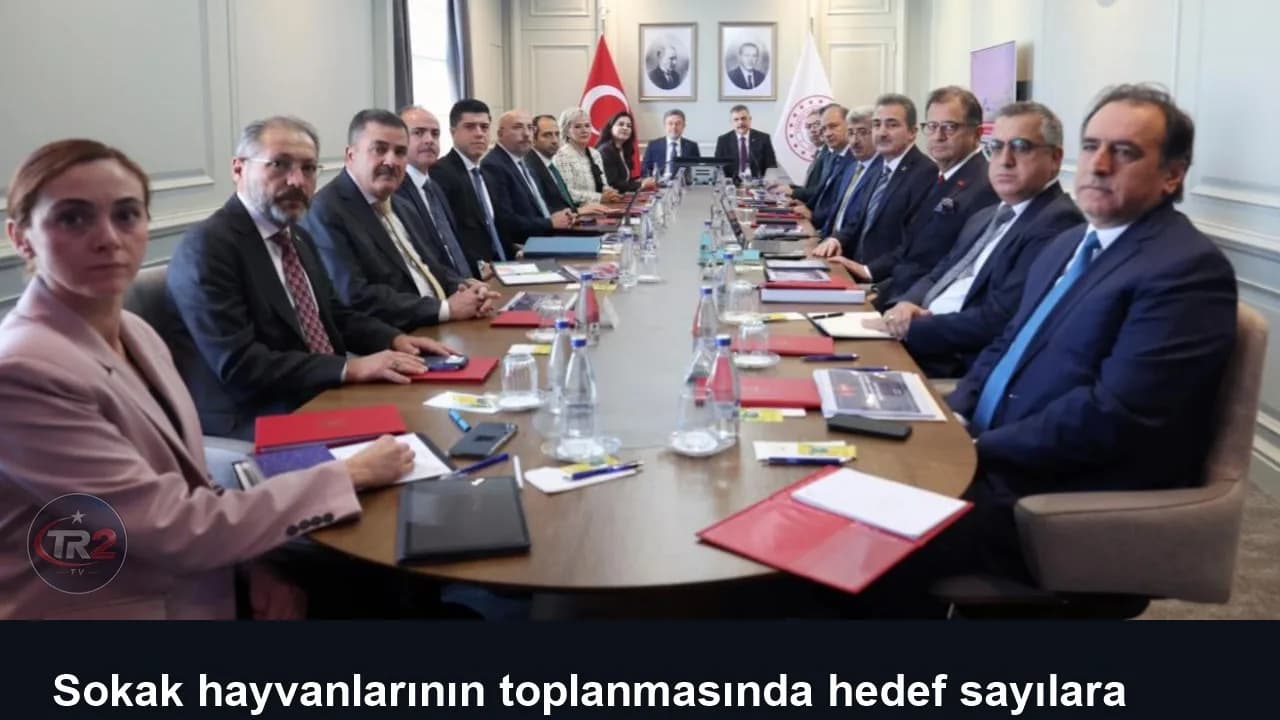 Sokak hayvanlarının toplanmasında hedef sayılara ilişkin son durum ele alındı