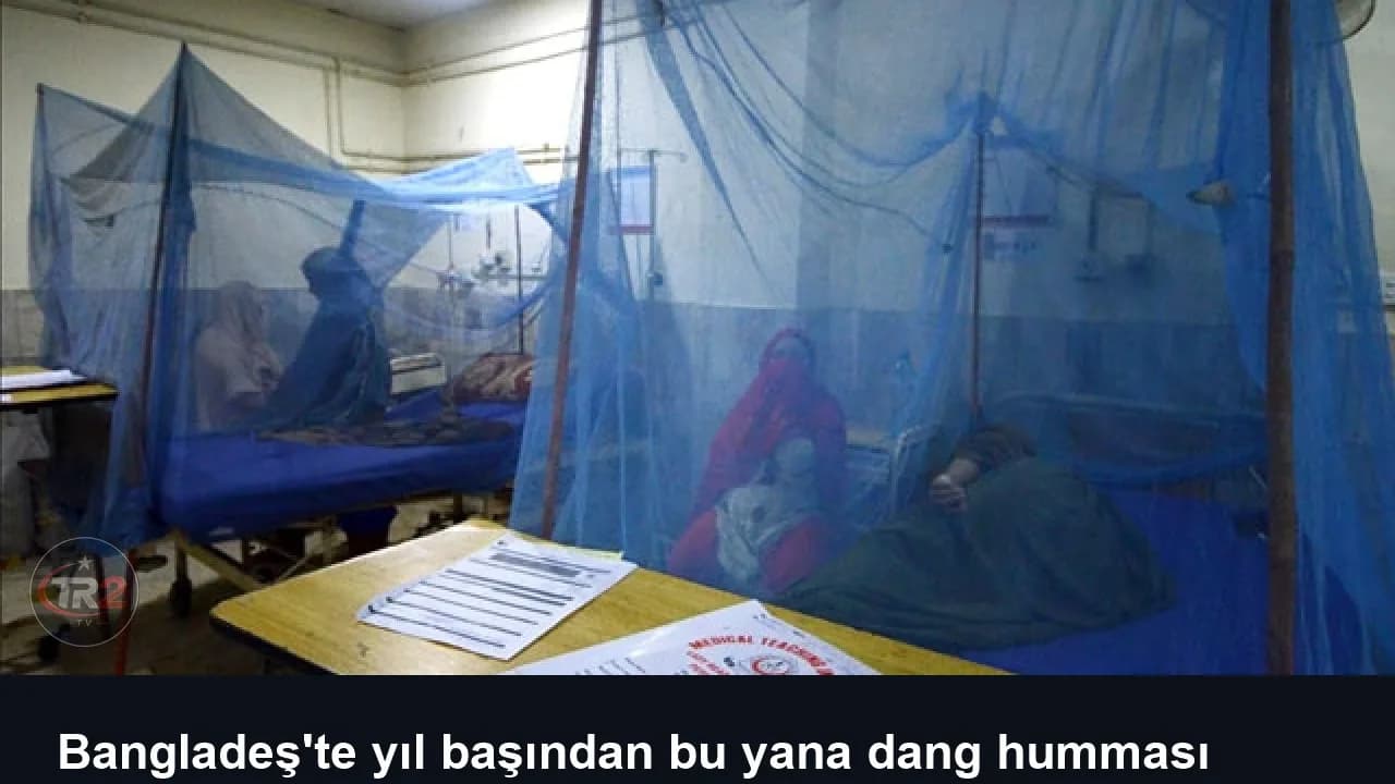 Bangladeş'te yıl başından bu yana dang humması nedeniyle ölenlerin sayısı 364'e çıktı