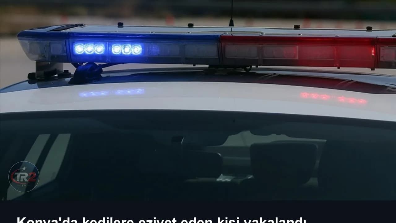 Konya'da kedilere eziyet eden kişi yakalandı