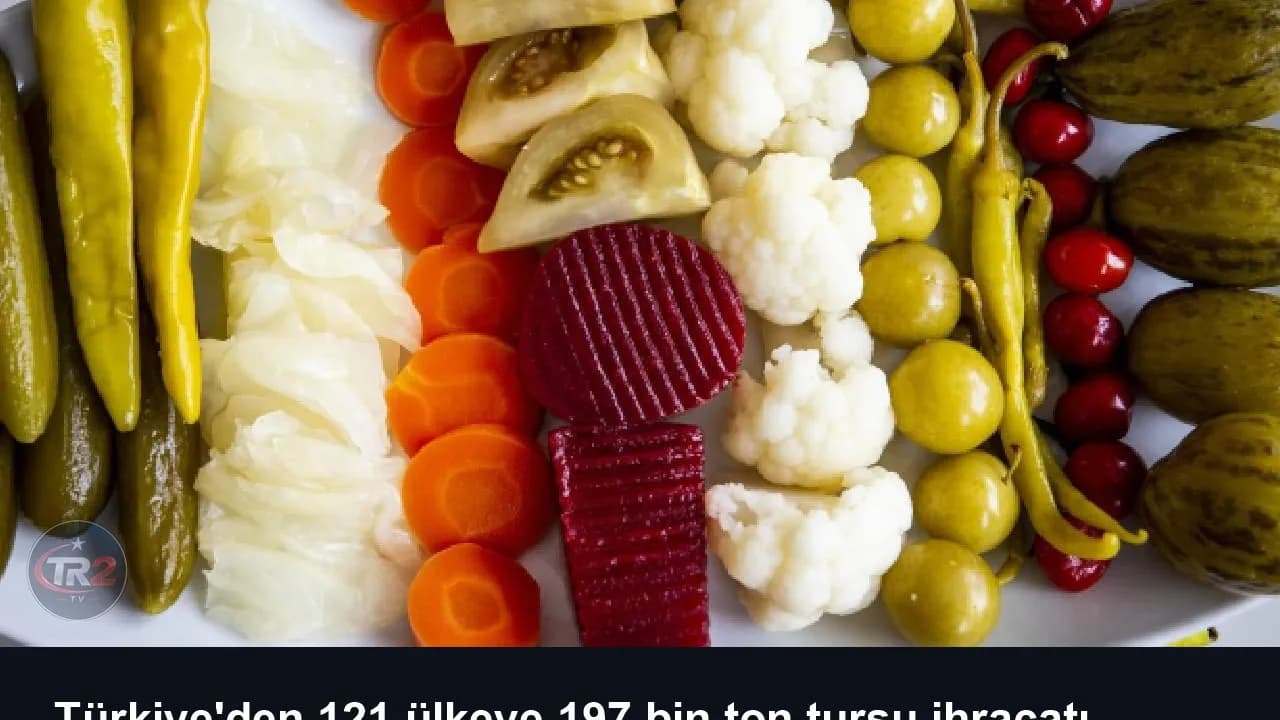 Türkiye'den 121 ülkeye 197 bin ton turşu ihracatı
