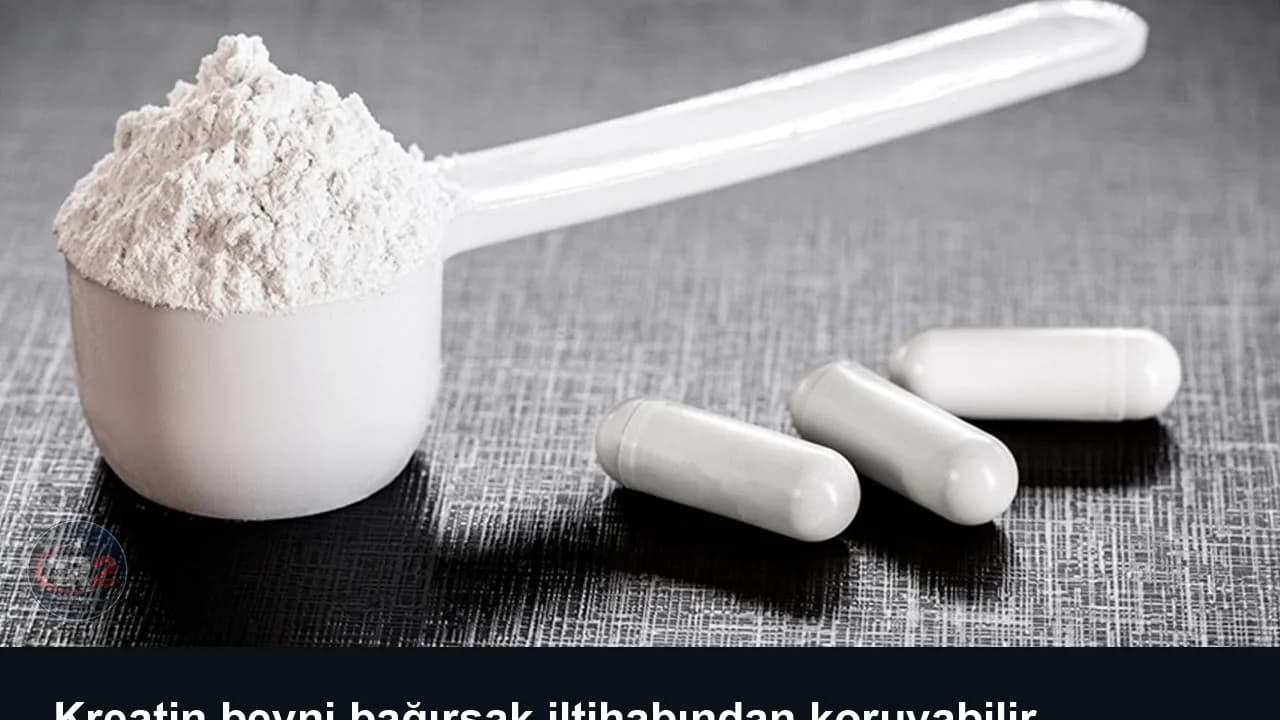 Kreatin beyni bağırsak iltihabından koruyabilir