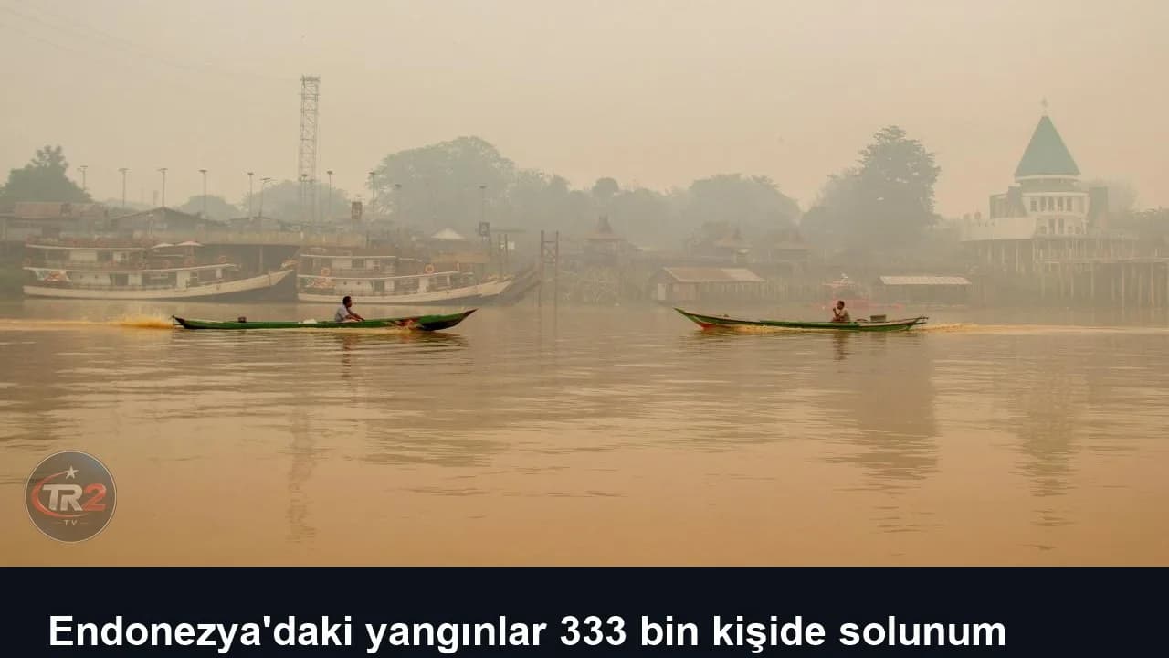 Endonezya'daki yangınlar 333 bin kişide solunum yolu enfeksiyonuna yol açtı
