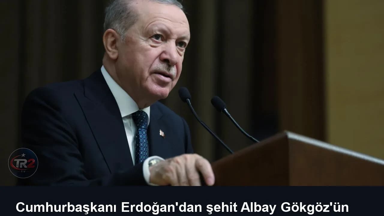 Cumhurbaşkanı Erdoğan'dan şehit Albay Gökgöz'ün ailesine taziye mesajı