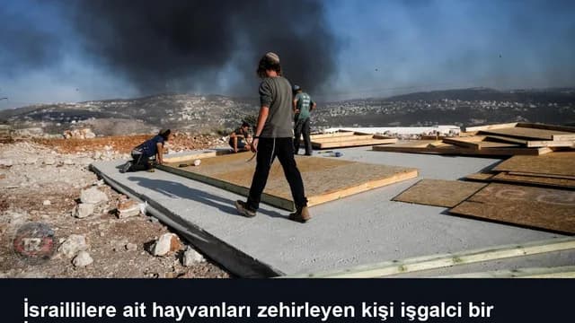 İsraillilere ait hayvanları zehirleyen kişi işgalci bir İsrailli çıktı