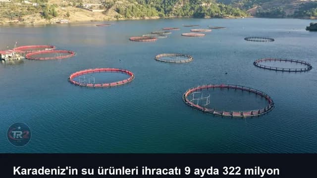 Karadeniz'in su ürünleri ihracatı 9 ayda 322 milyon doları aştı
