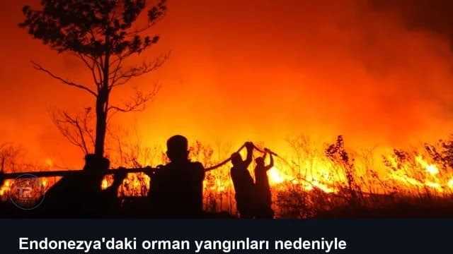Endonezya'daki orman yangınları nedeniyle Singapur hava kirliliğinde dünyada ilk sırada