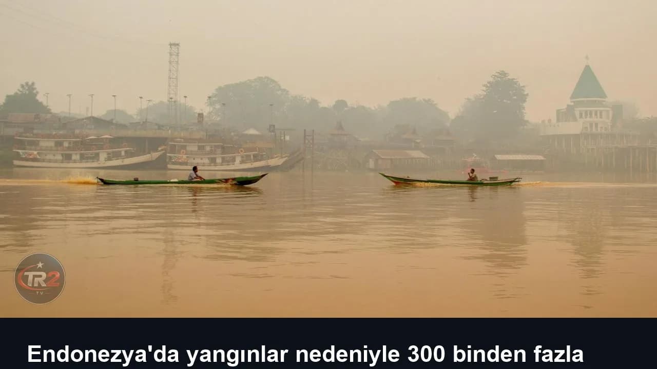 Endonezya'da yangınlar nedeniyle 300 binden fazla akut solunum yolu enfeksiyonu vakası tespit edildi