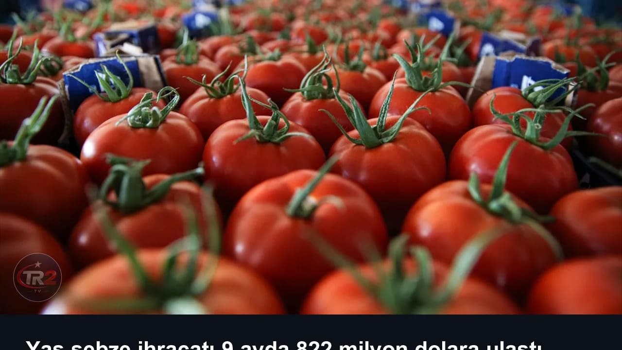 Yaş sebze ihracatı 9 ayda 822 milyon dolara ulaştı