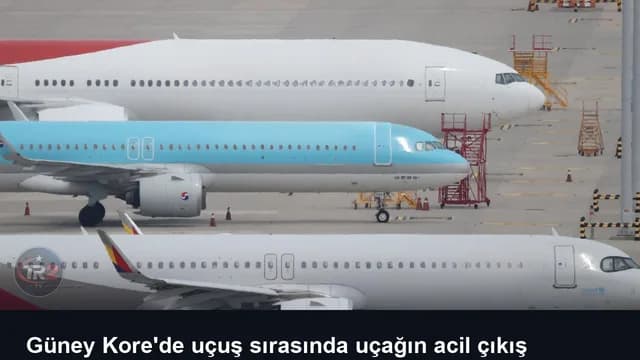 Güney Kore'de uçuş sırasında uçağın acil çıkış kapısını açmaya çalışan yolcuya hapis cezası